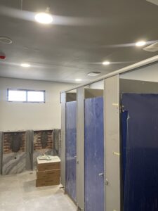 Genesis toilet