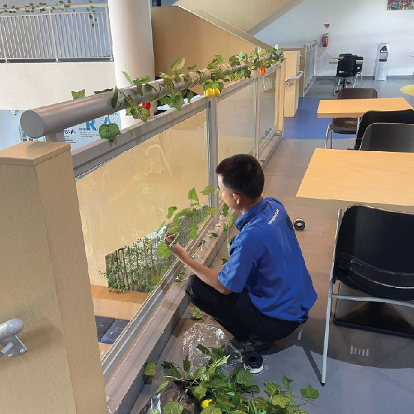 Supporting a Greener School