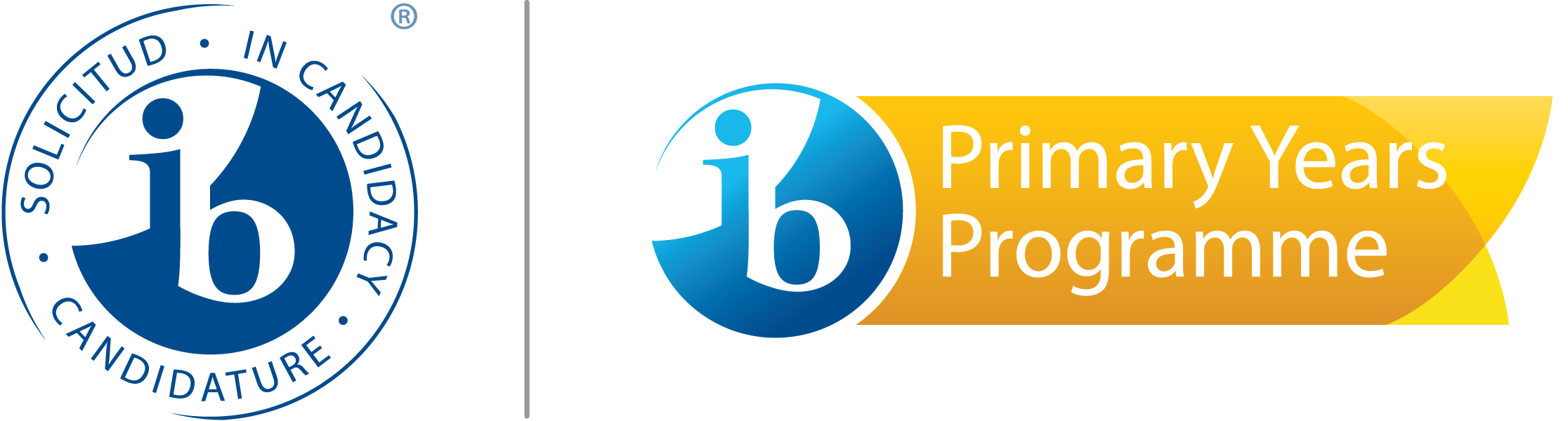 6805 ib candidacy pyp e2