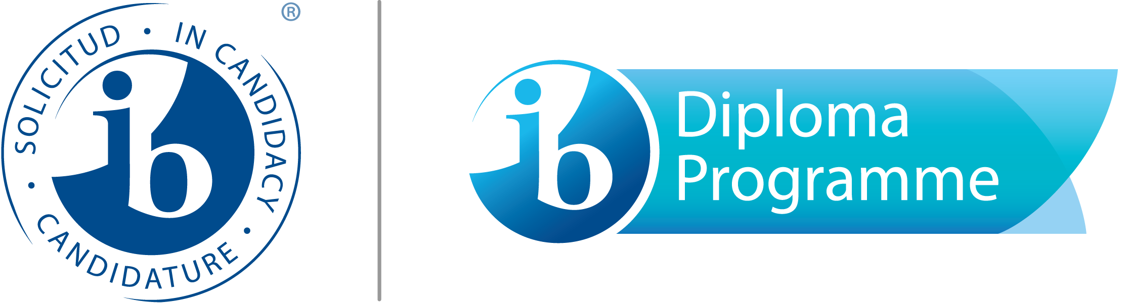 DP Candidacy Logo
